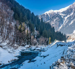 Honeymoon Special Delight